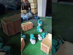 Korozyona Dayanıklı ve Dayanıklı Demir Pompa Gövdesi Manyetik Tahrikli Pompa, Maksimum 3500 RPM Hız