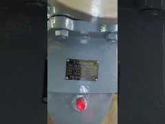 160M3/h IP55 Tek Aşama Başlı Orta Kapasite Merkezi Kanatlı Kimyasal Pompa